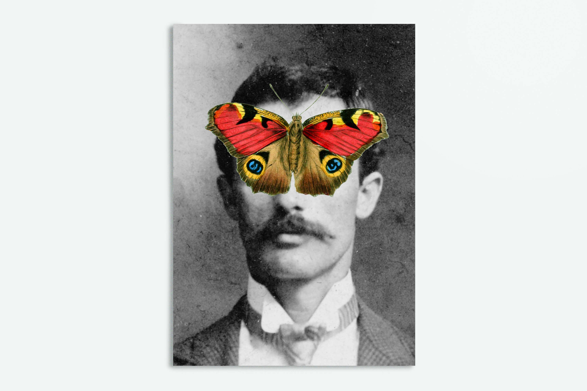 BUTTERFLEYES