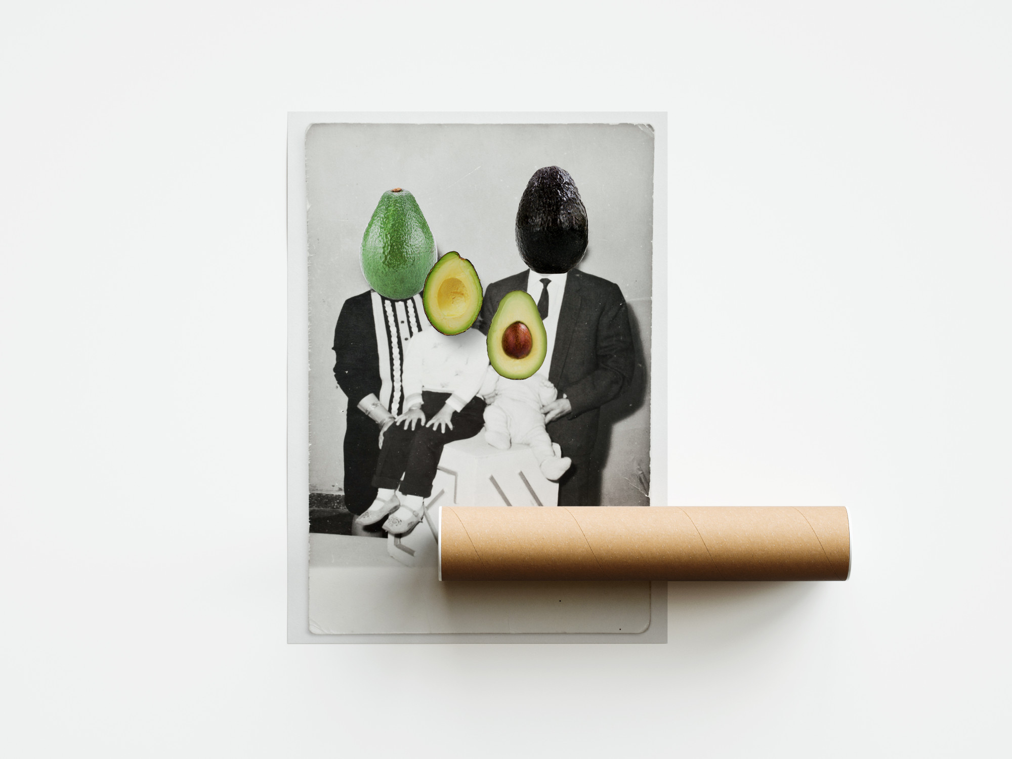 AVOCADO FAMILY