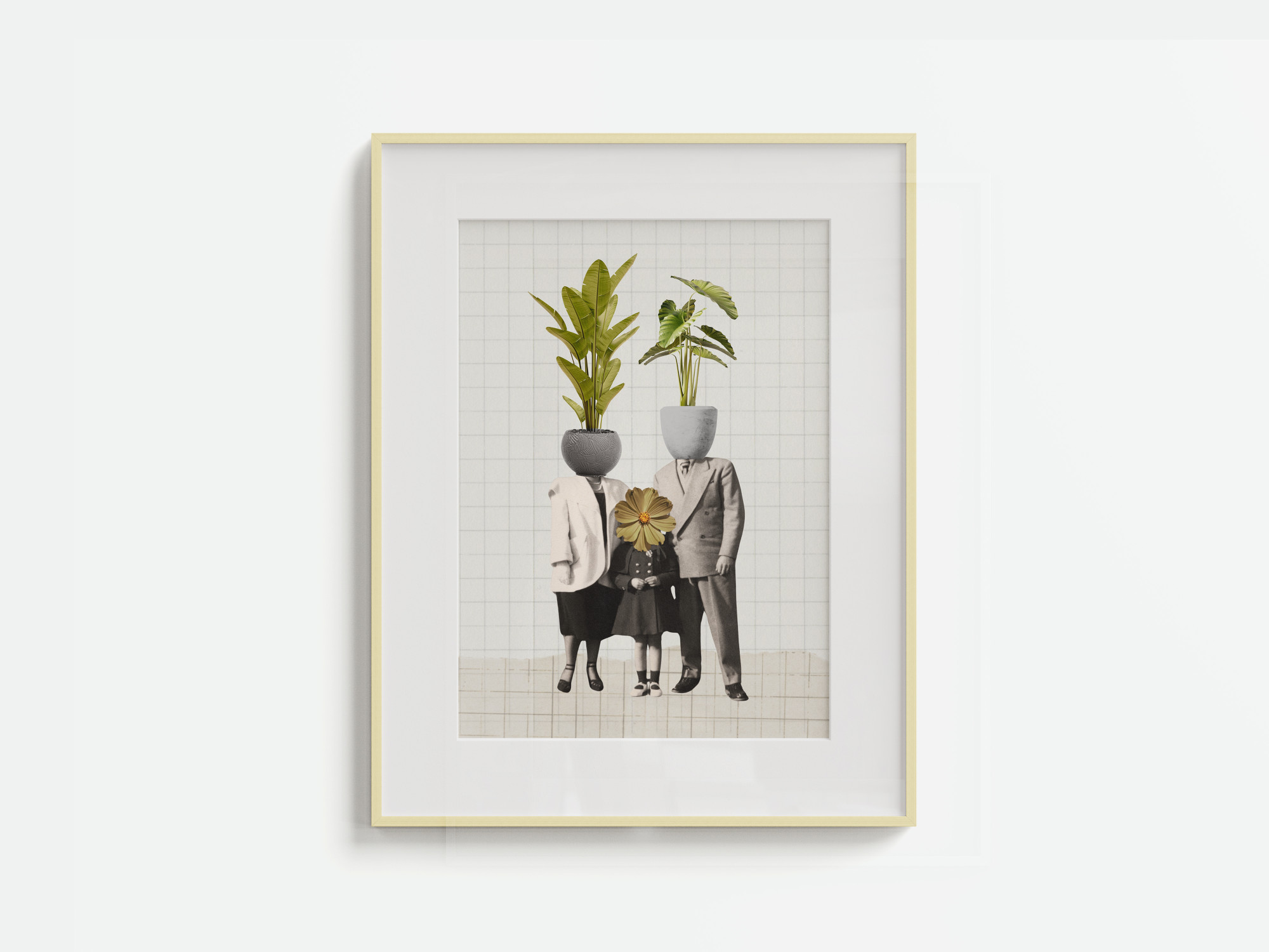 PLANTS FAMILY
